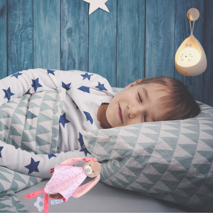 Doudou Lapintoudoux™ – Son refuge de douceur, partout, tout le temps