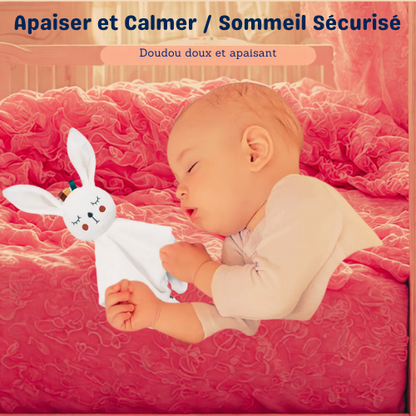 Doudou Lapintoudoux™ – Son refuge de douceur, partout, tout le temps